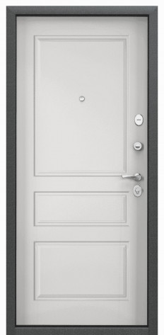 Torex Входная дверь DELTA-100 DL-2/D25, арт. 0005809