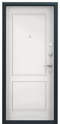 Torex Входная дверь DELTA-100 VDM 2N/D27, арт. 0005811