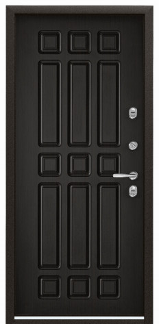 Torex Входная дверь SNEGIR 60 PP TS-2N, арт. 0005830