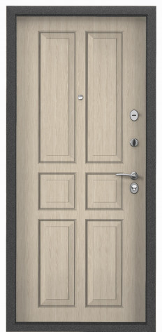 Torex Входная дверь Х5 NEW MP СК62, арт. 0005873