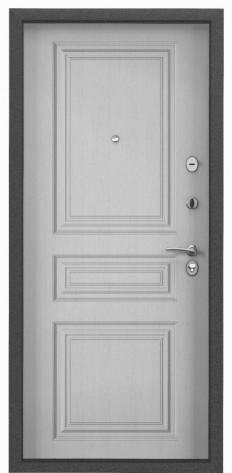 Torex Входная дверь Х5 NEW MP СК67, арт. 0005876