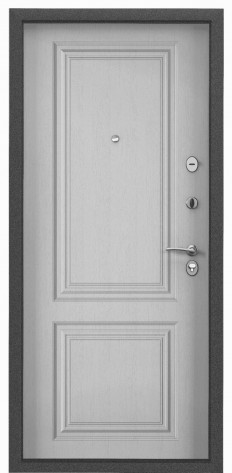 Torex Входная дверь Х5 NEW MP СК68, арт. 0006083