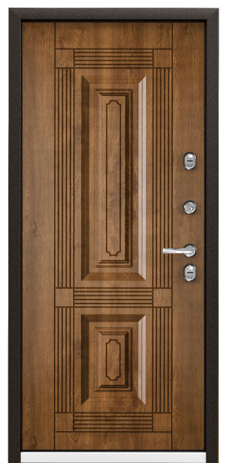 Torex Входная дверь SNEGIR 45 MP S45-02, арт. 0002863 - фото №1