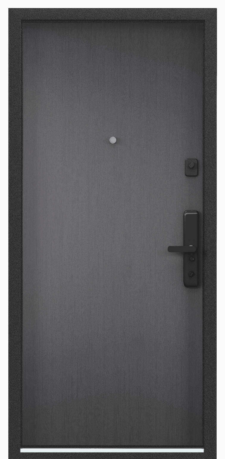 Torex Входная дверь CYBER CBR-00/CBR-00V
, арт. 0005842 - фото №3