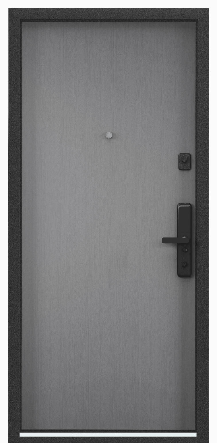 Torex Входная дверь CYBER CBR-00/CBR-00V
, арт. 0005842 - фото №1
