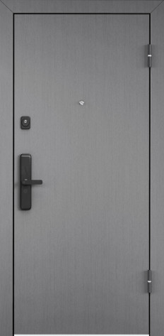 Torex Входная дверь CYBER CBR-00/CBR-00V
, арт. 0005842