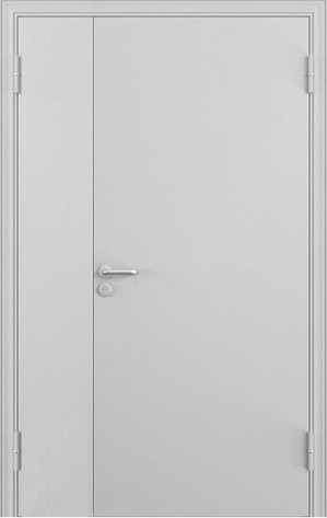 Torex Входная дверь Техническая двупольная 2Дтех, арт. 0006302