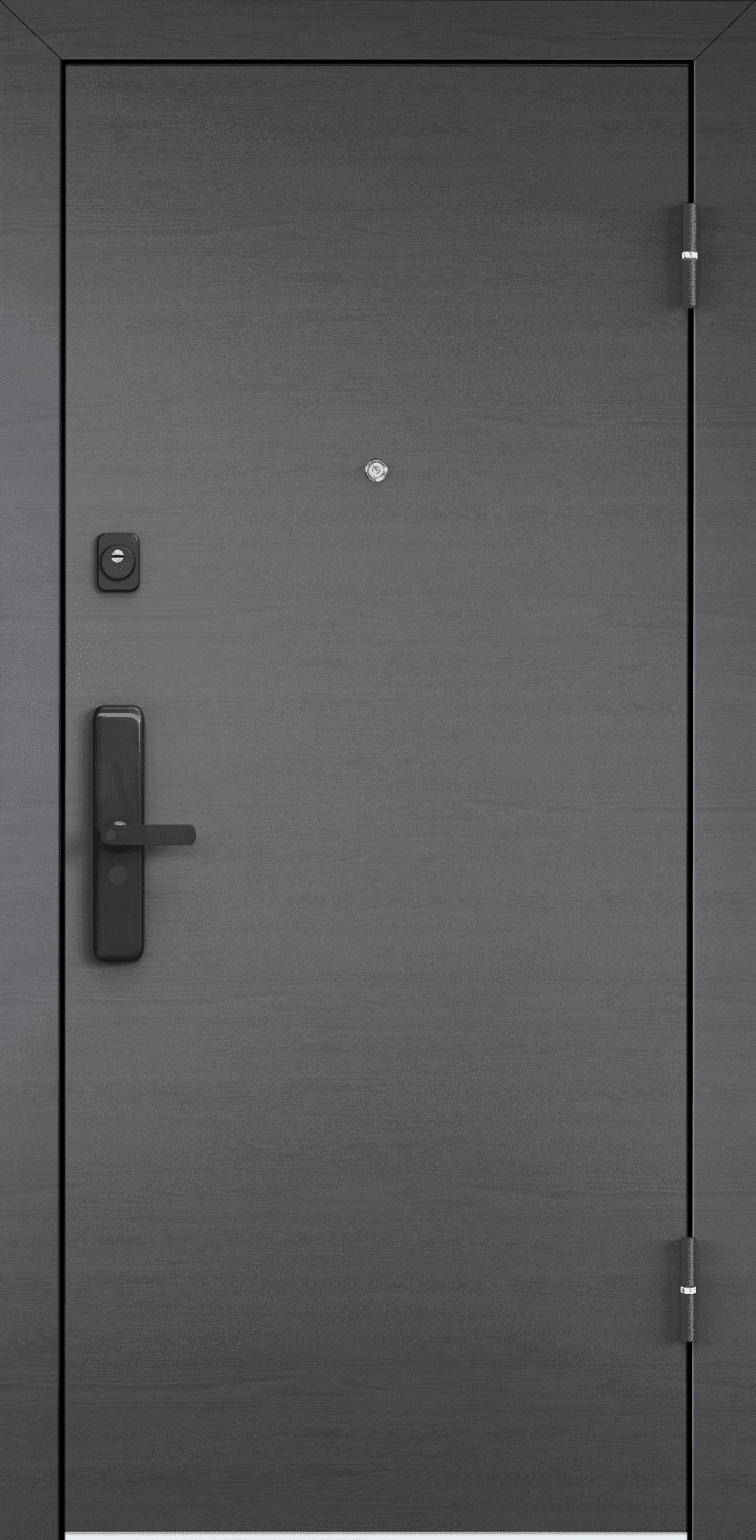 Torex Входная дверь CYBER CBR-00/CBR-00V
, арт. 0005842 - фото №13