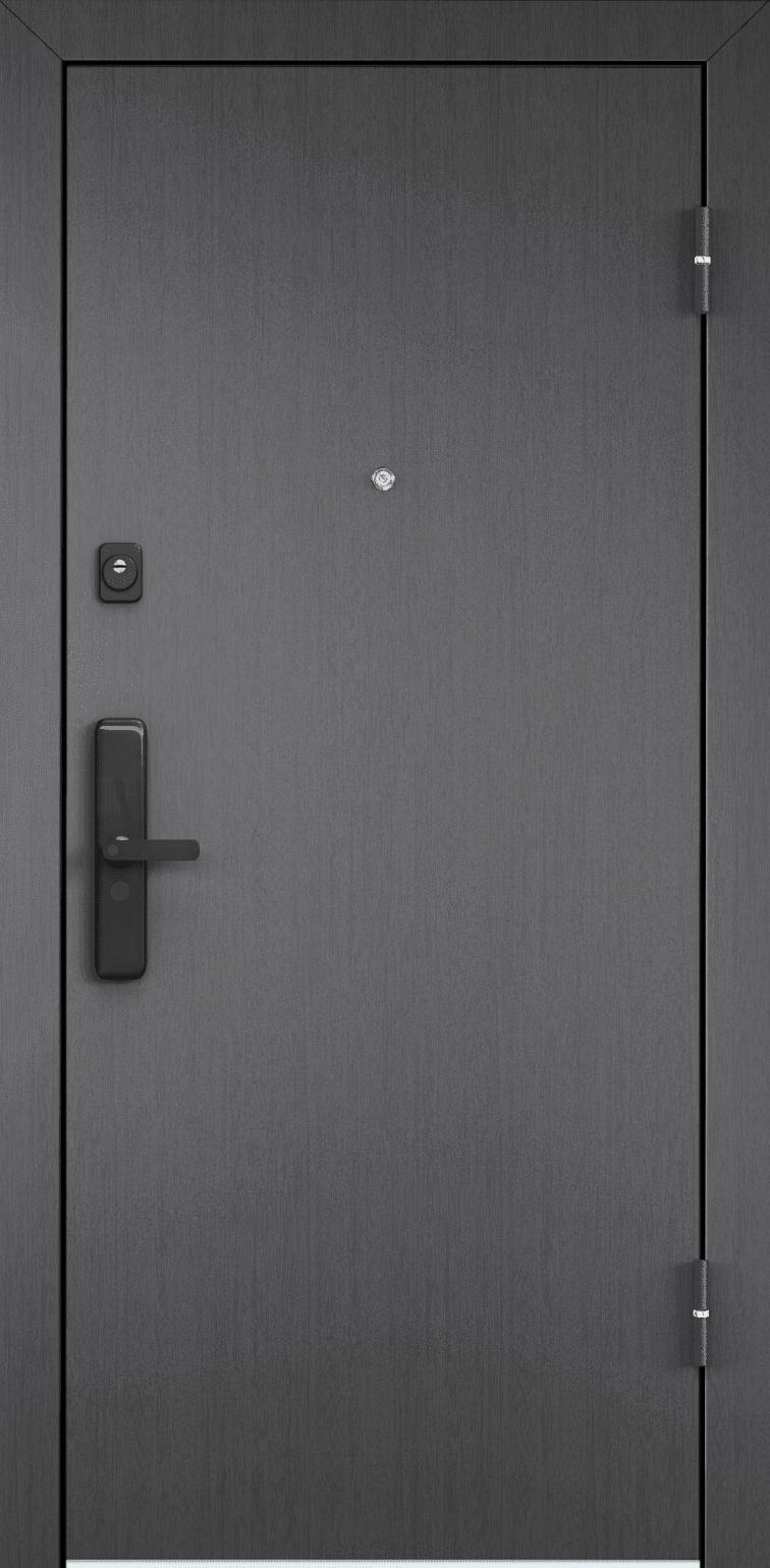 Torex Входная дверь CYBER CBR-00/CBR-00V
, арт. 0005842 - фото №11